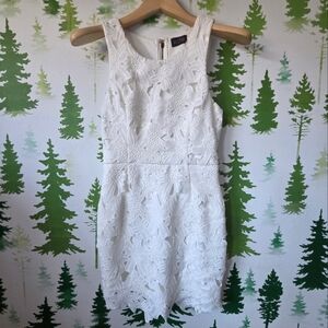 ASTR Sleeveless Lace Overlay Sheath Mini Dress